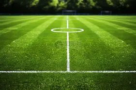 足球荣耀之,大连一跃成,为囊括中超,谈球吧官网,谈球吧品牌,谈球吧精彩