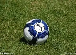 西班牙电视,六台揭露哈,维执教巴萨,谈球吧官网,谈球吧品牌,谈球吧精彩