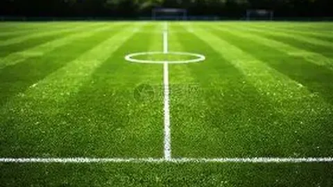 足球荣耀之城：大连一跃成为囊括中超、中甲、中乙、中冠各级别球队的足球盛宴之地